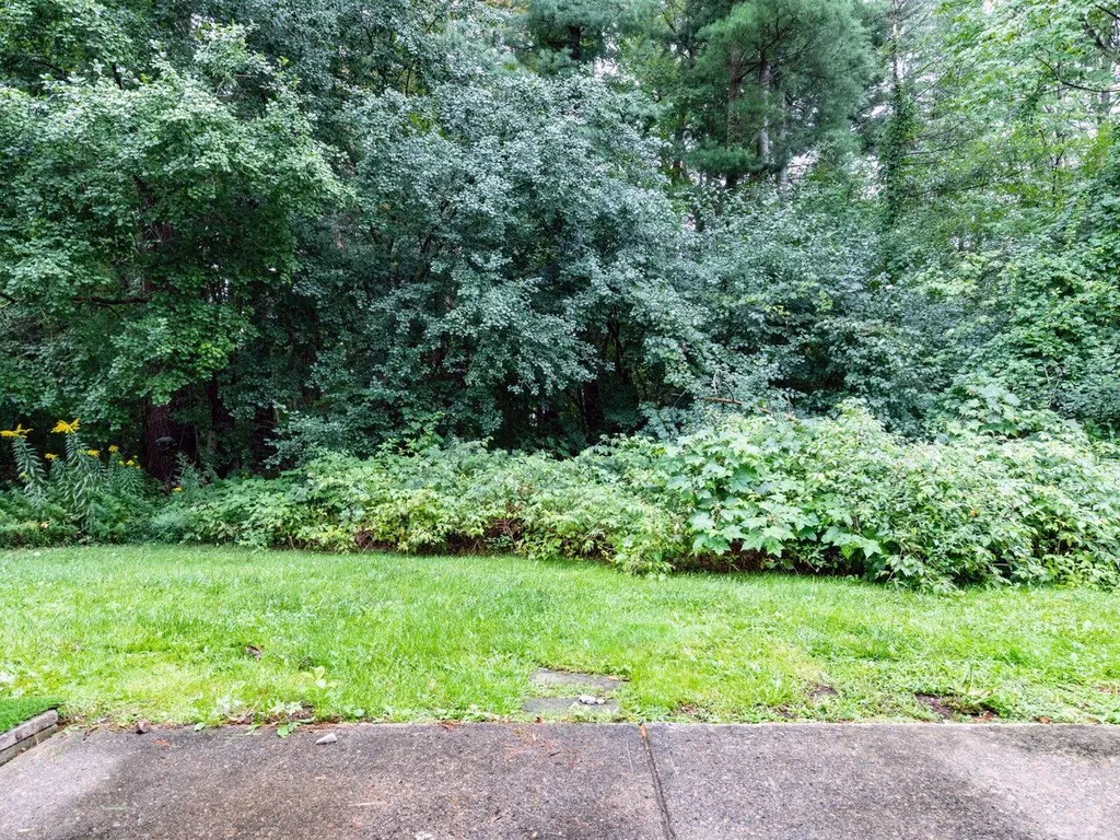 214 Locust Hill Road Shelburne VT 05482