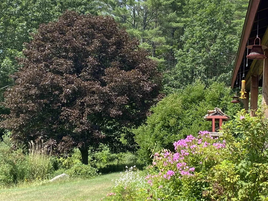 8 Laclair Drive Cornish NH 03745