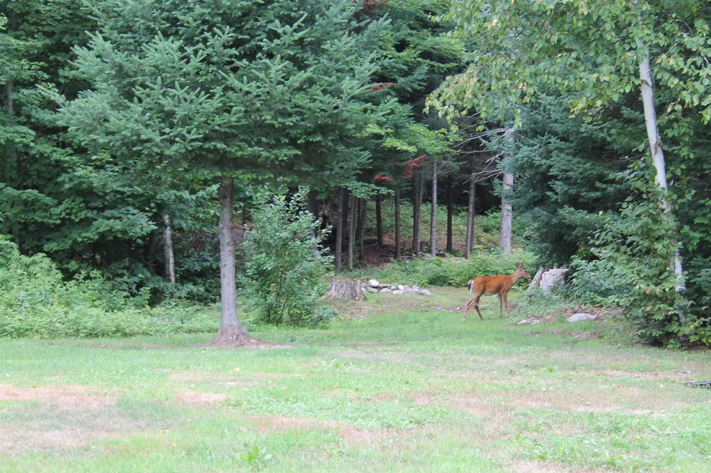 173 East Milan Road Berlin NH 03570