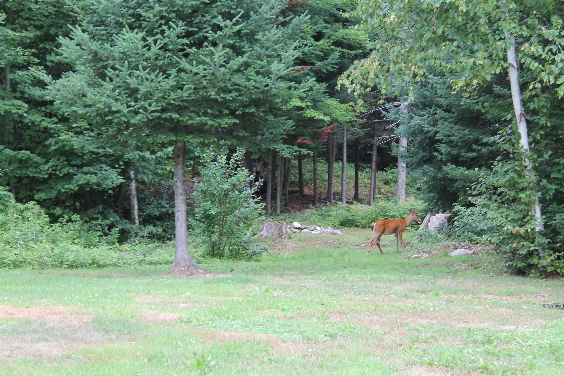173 East Milan Road Berlin NH 03570
