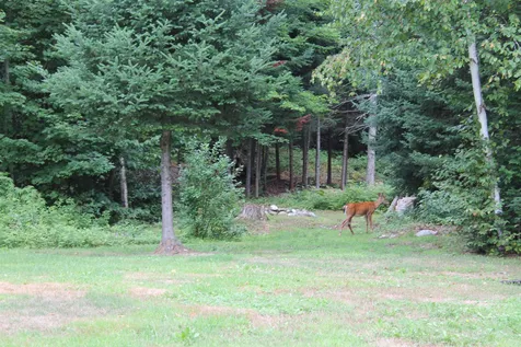 173 East Milan Road Berlin NH 03570