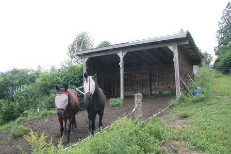 52 Church Street Barnet VT 05821