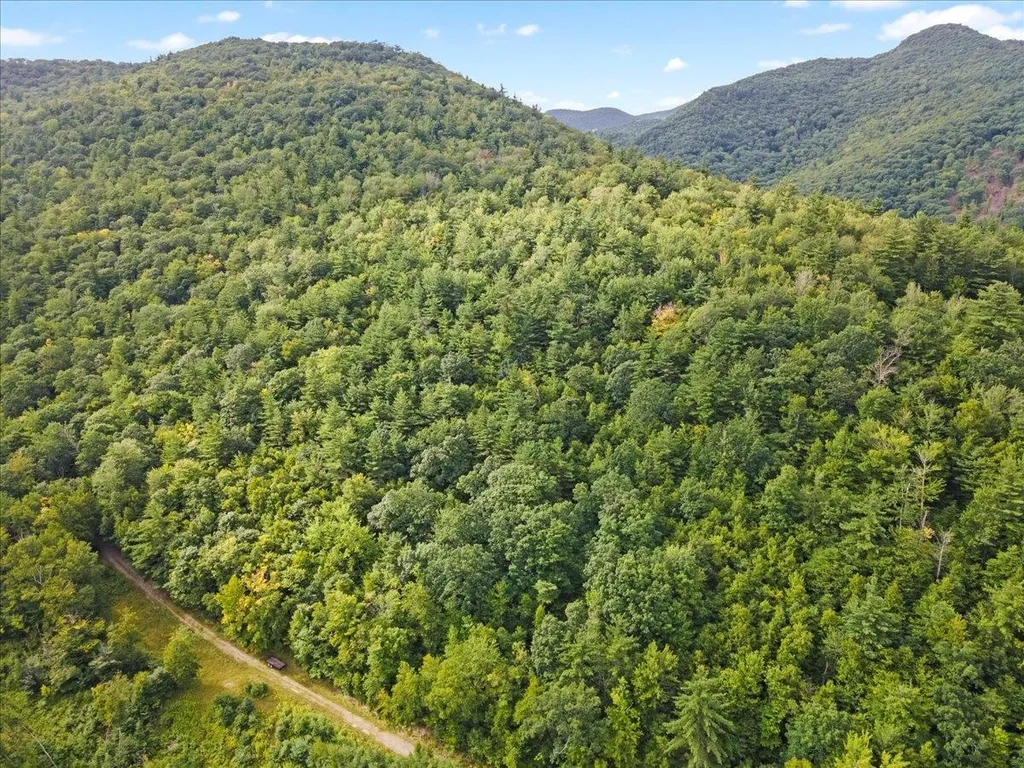 0 Swearing Hill Sandgate VT 05250
