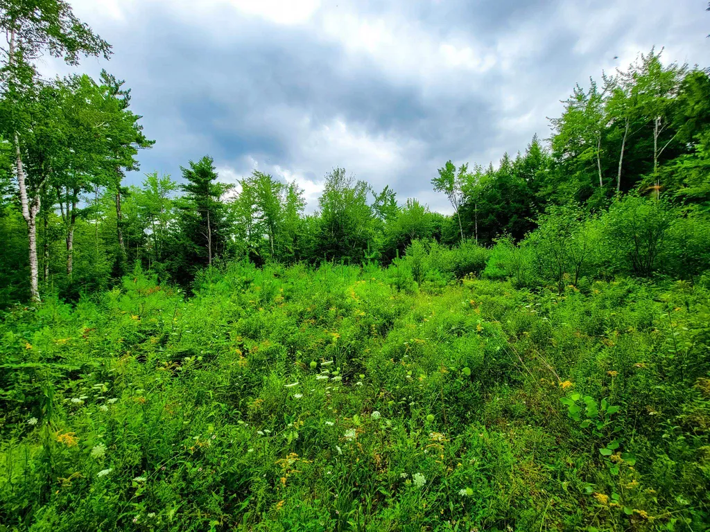 261 Porter Road Plainfield NH 03781