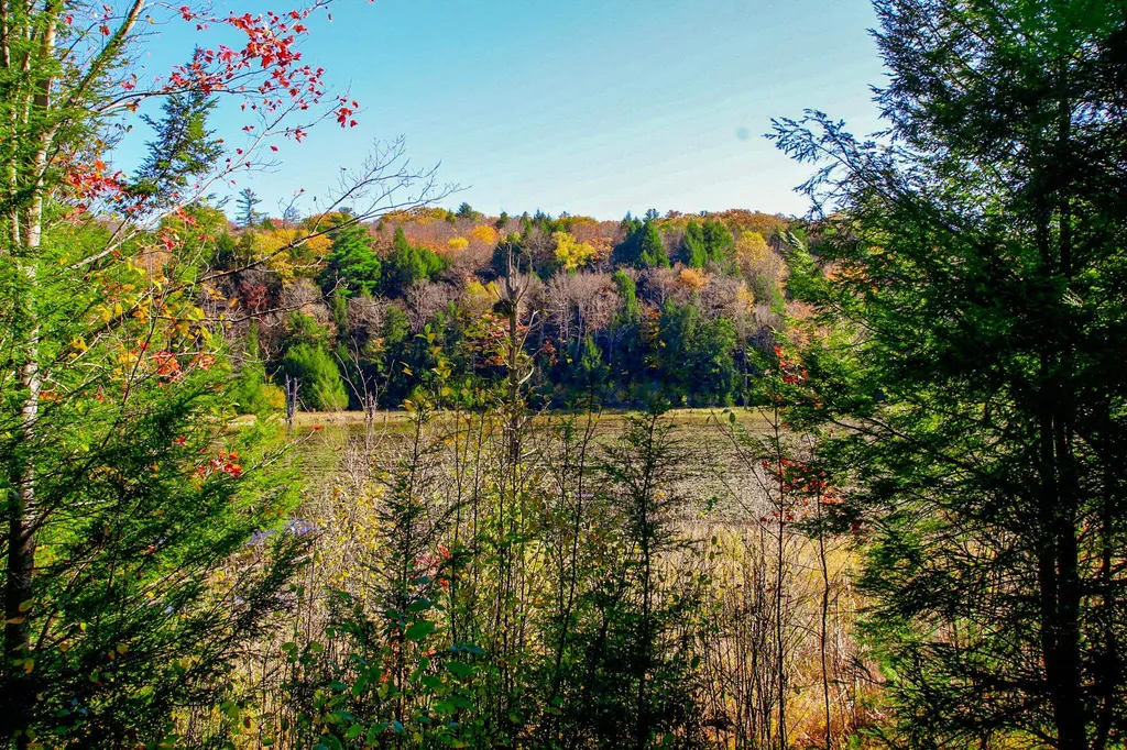 261 Porter Road Plainfield NH 03781