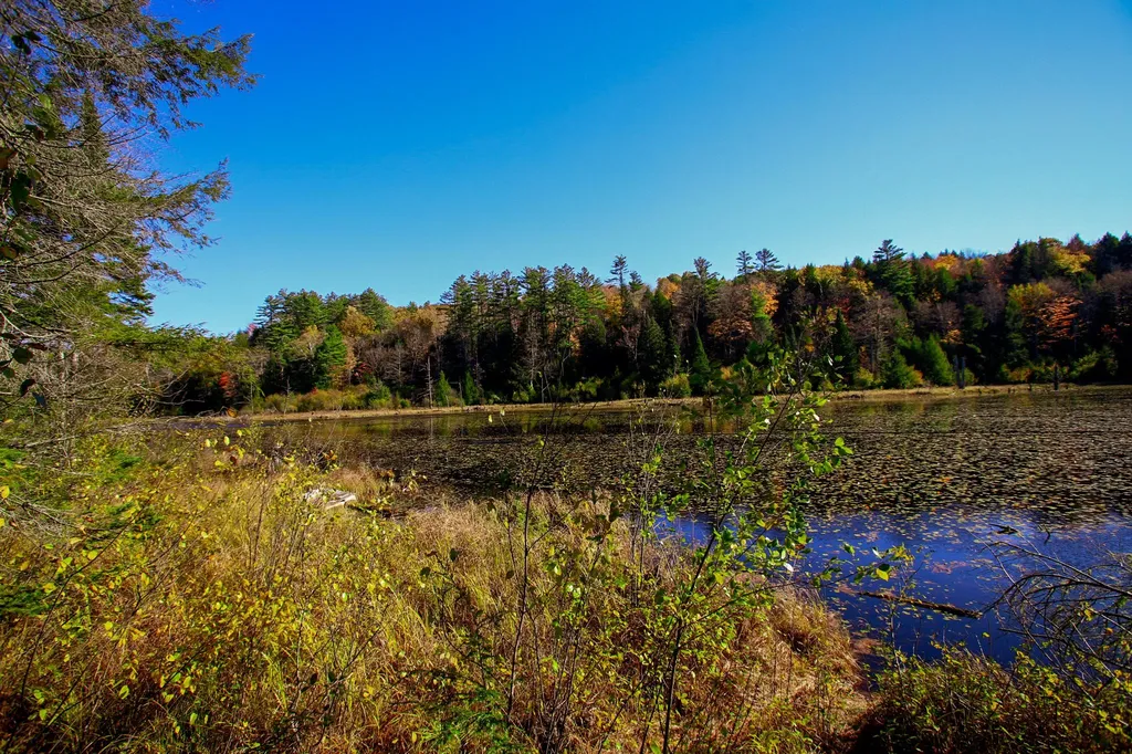 261 Porter Road Plainfield NH 03781