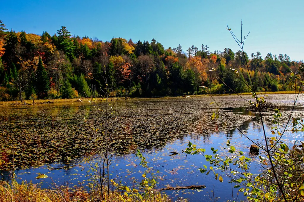 261 Porter Road Plainfield NH 03781
