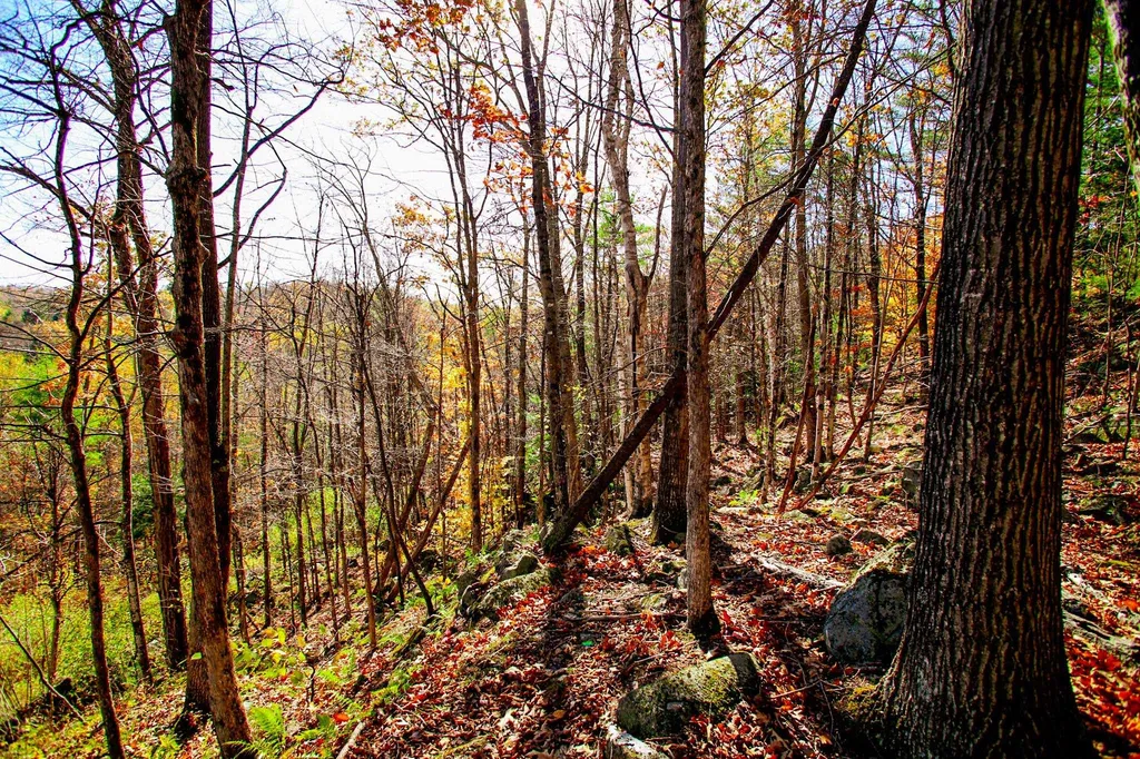 261 Porter Road Plainfield NH 03781