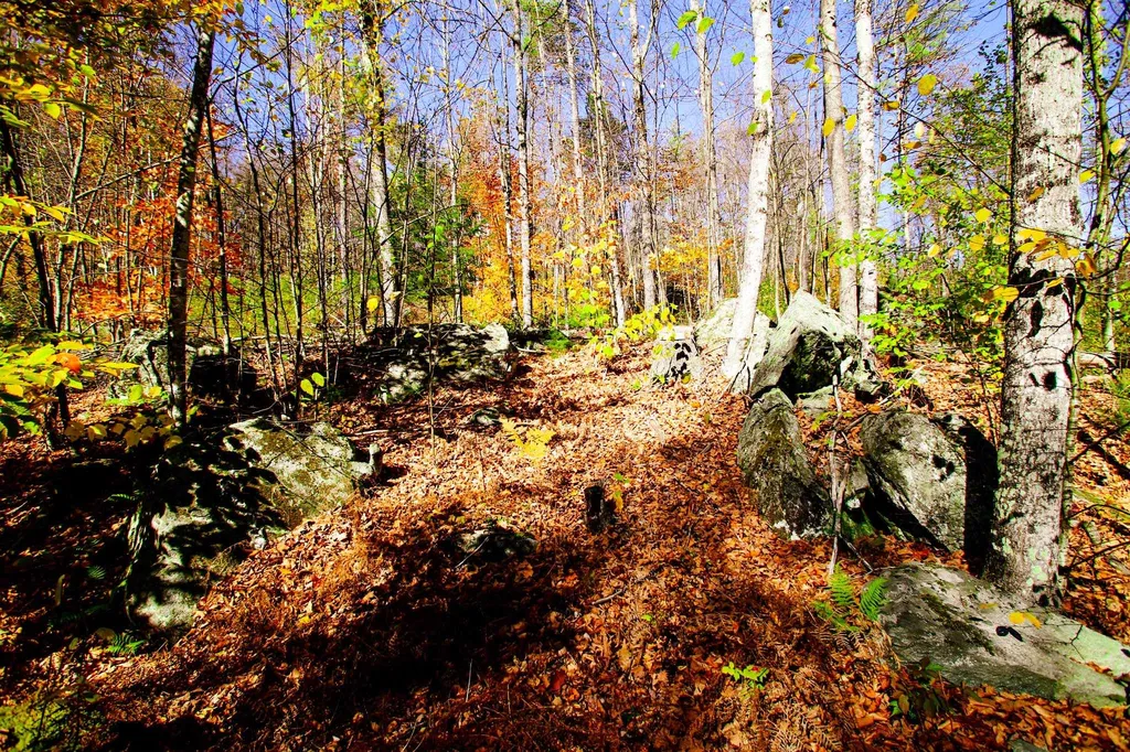 261 Porter Road Plainfield NH 03781