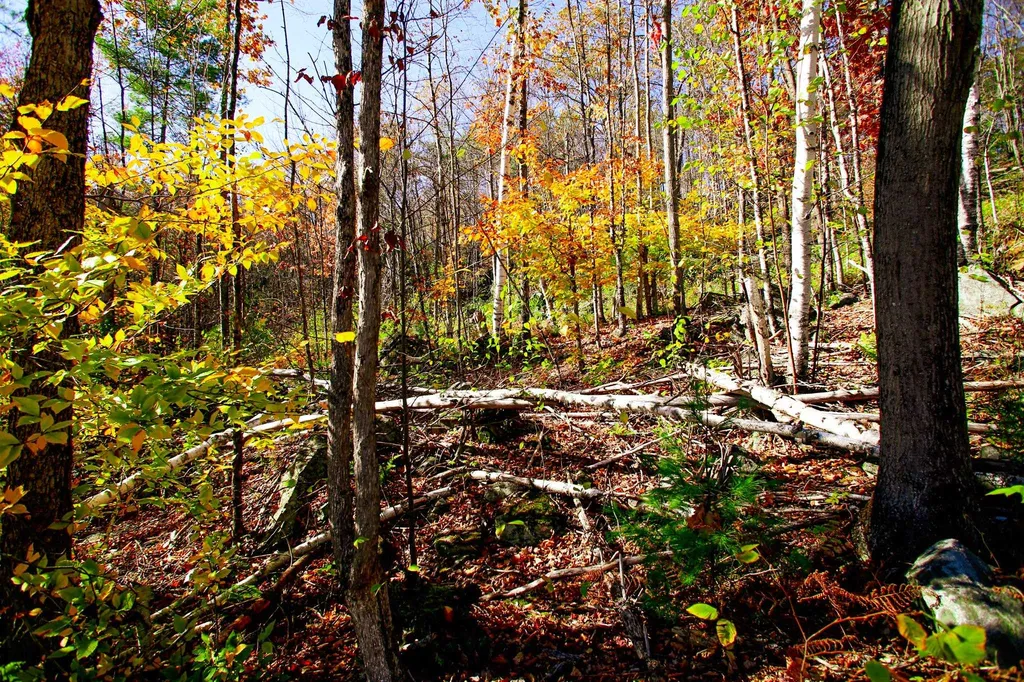 261 Porter Road Plainfield NH 03781