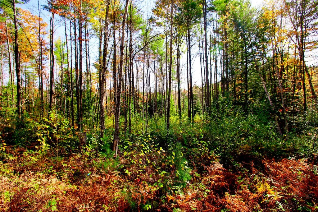 261 Porter Road Plainfield NH 03781