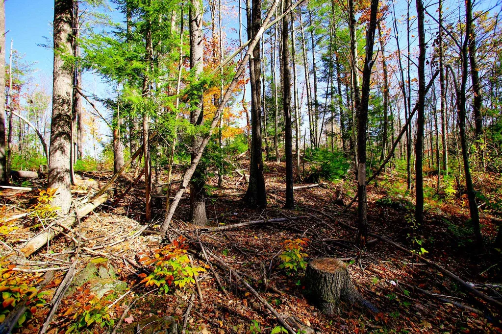 261 Porter Road Plainfield NH 03781