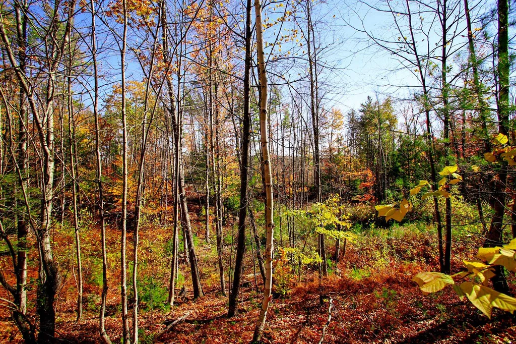 261 Porter Road Plainfield NH 03781