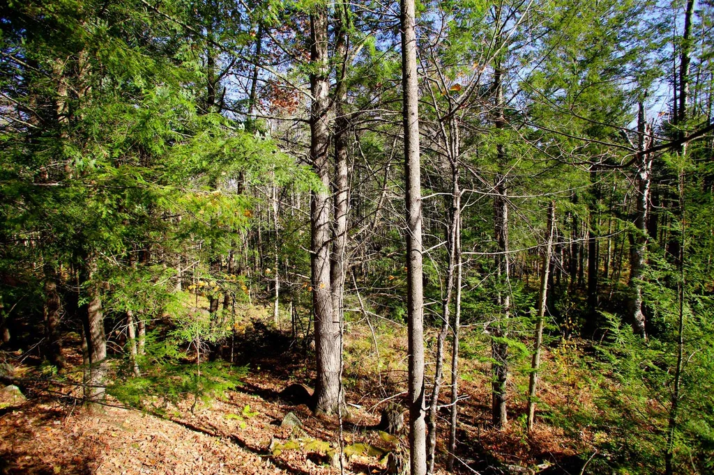 261 Porter Road Plainfield NH 03781