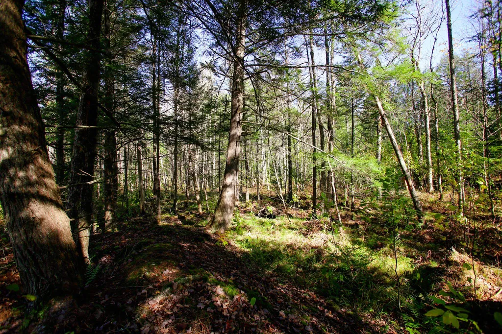 261 Porter Road Plainfield NH 03781