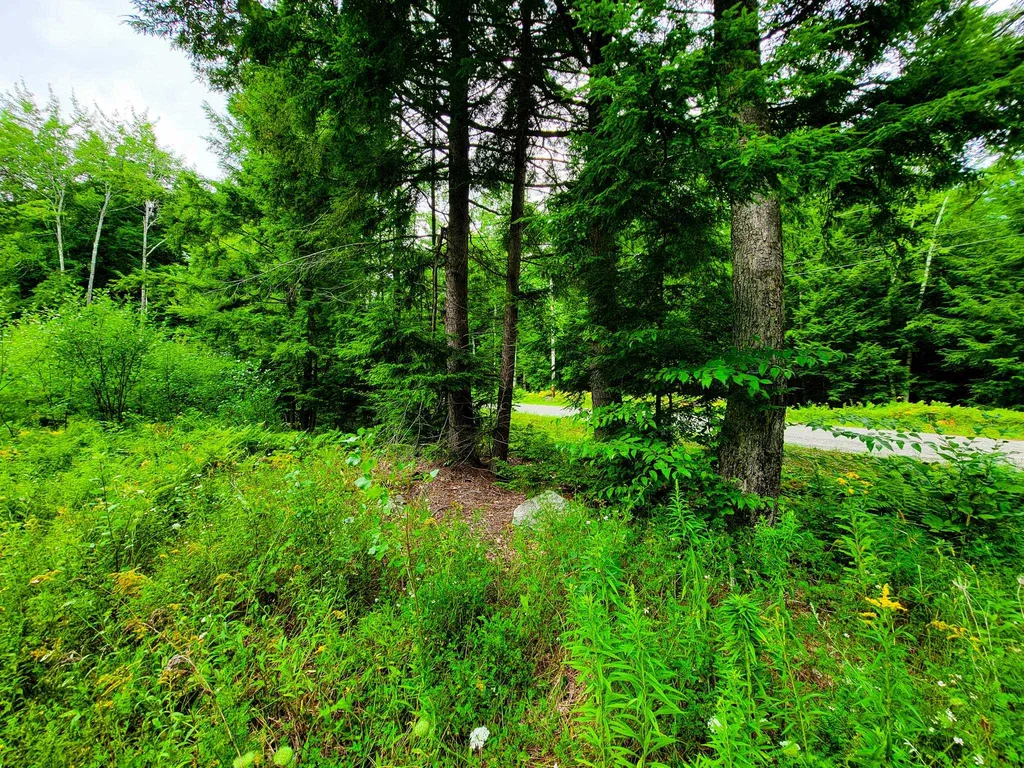 261 Porter Road Plainfield NH 03781