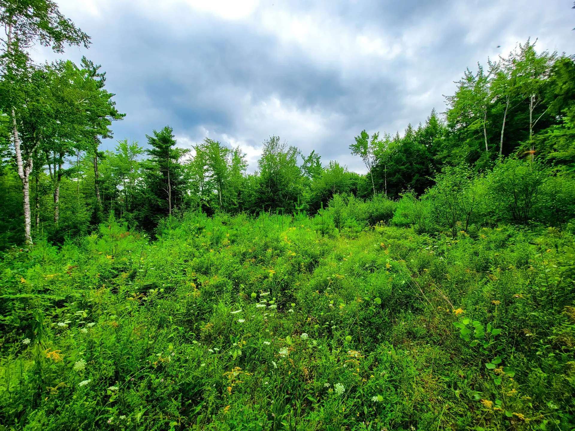 261 Porter Road Plainfield NH 03781