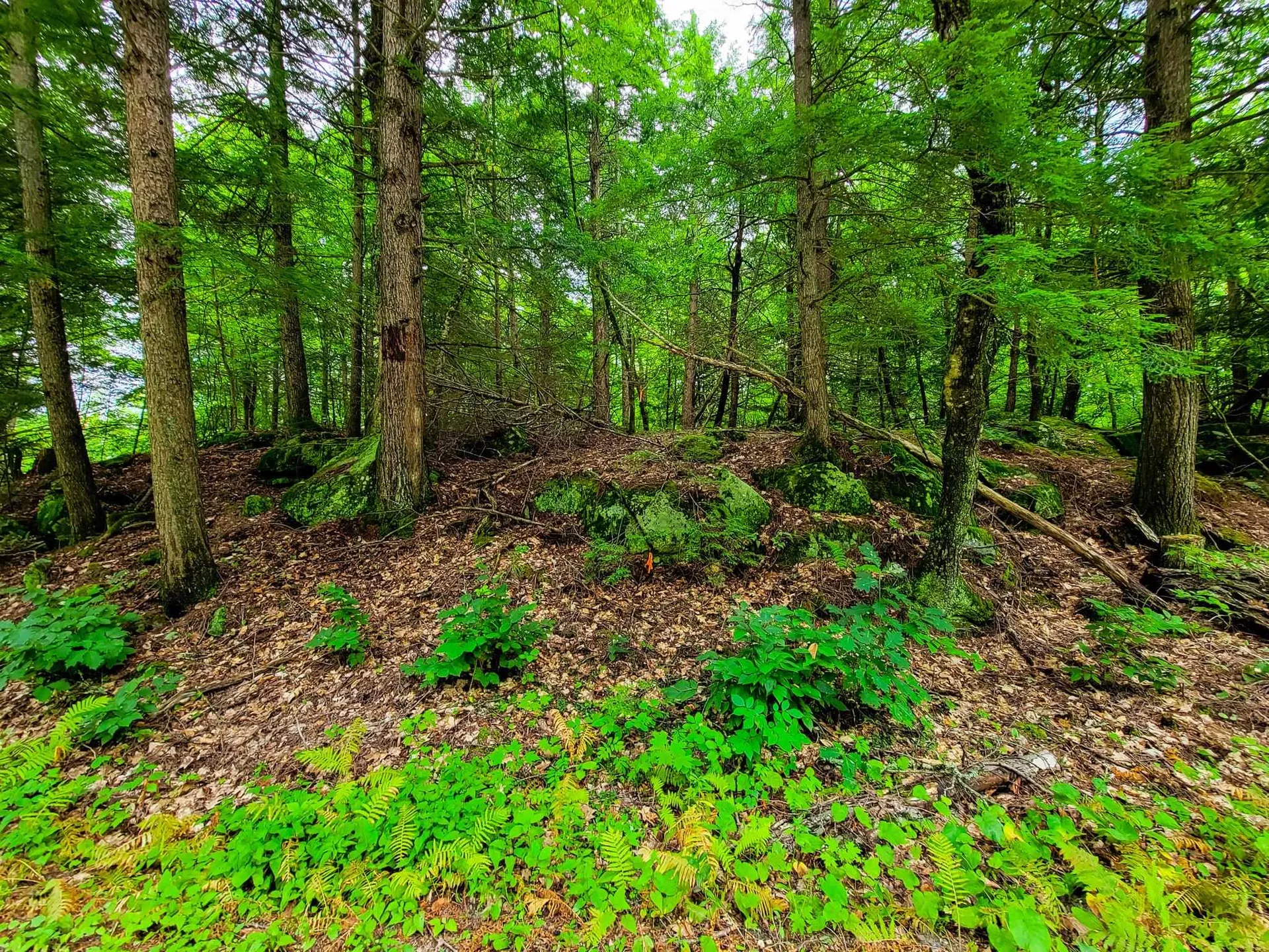 261 Porter Road Plainfield NH 03781