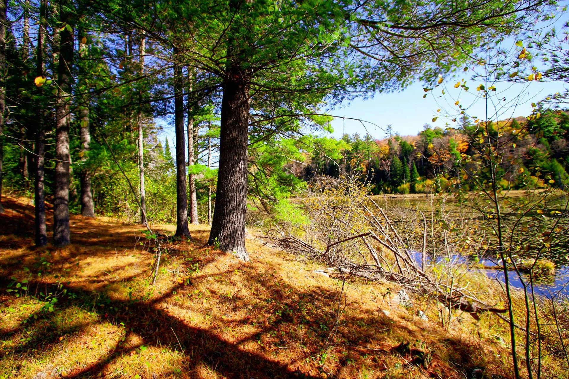 261 Porter Road Plainfield NH 03781