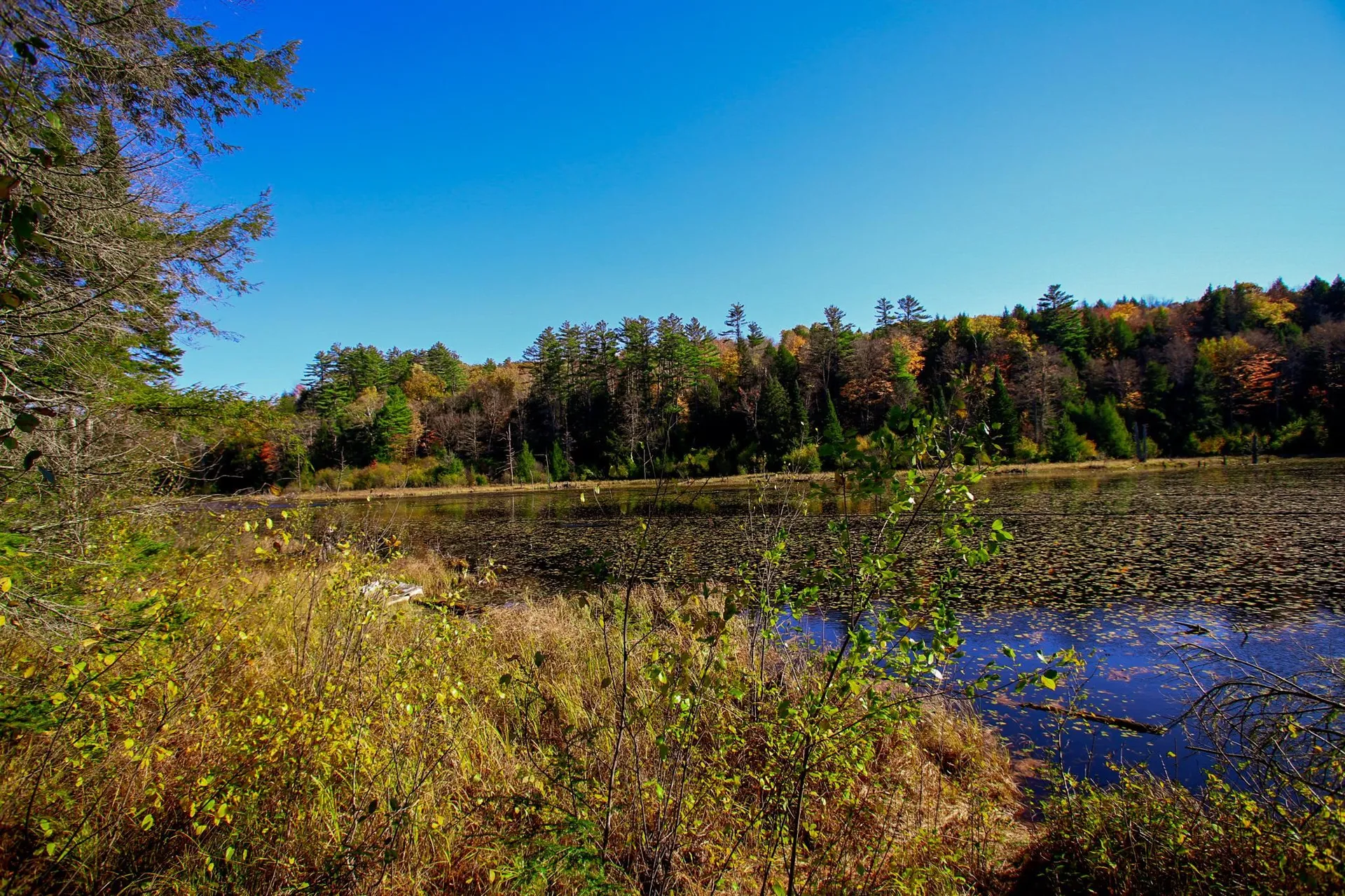 261 Porter Road Plainfield NH 03781