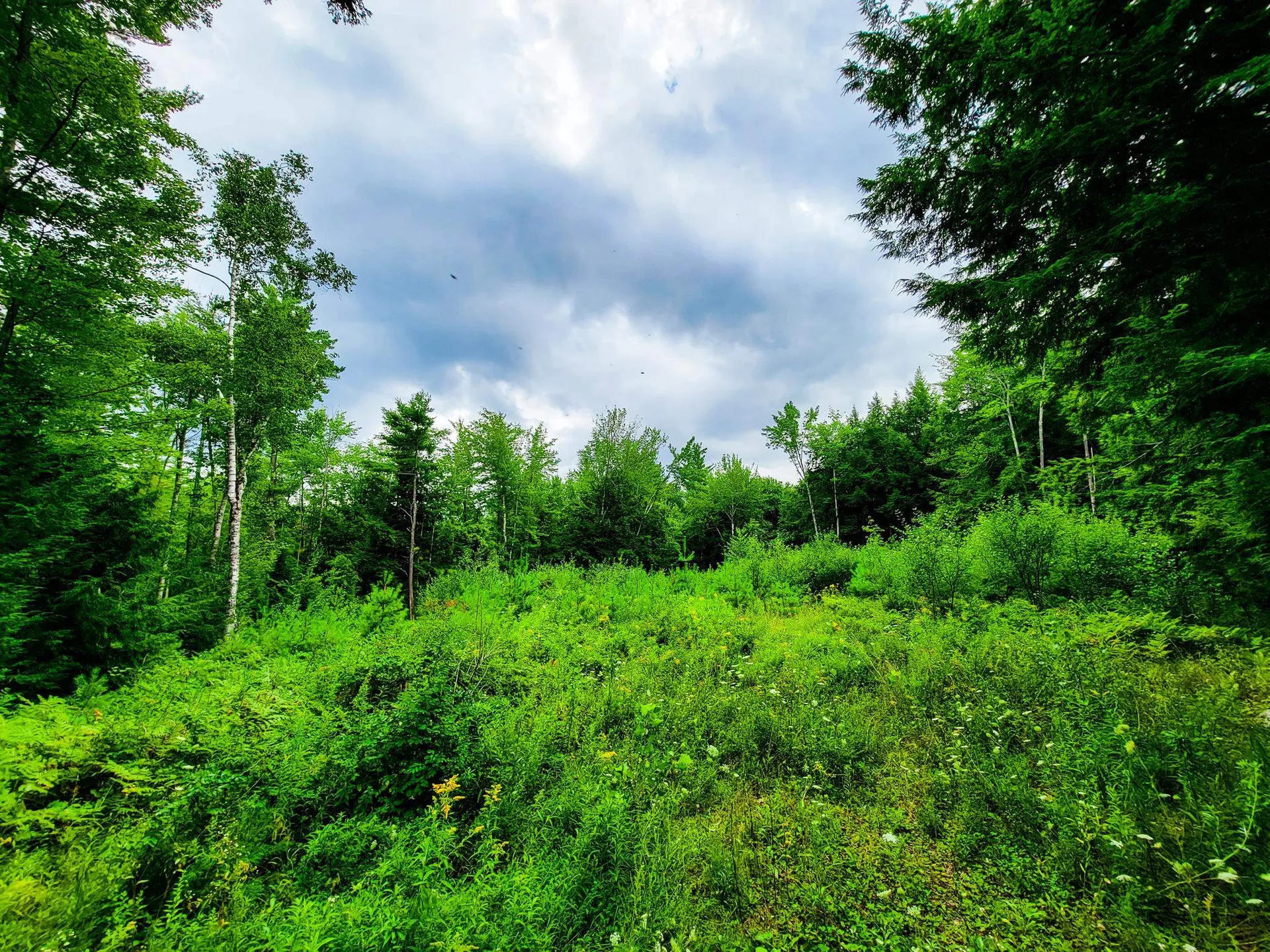 261 Porter Road Plainfield NH 03781