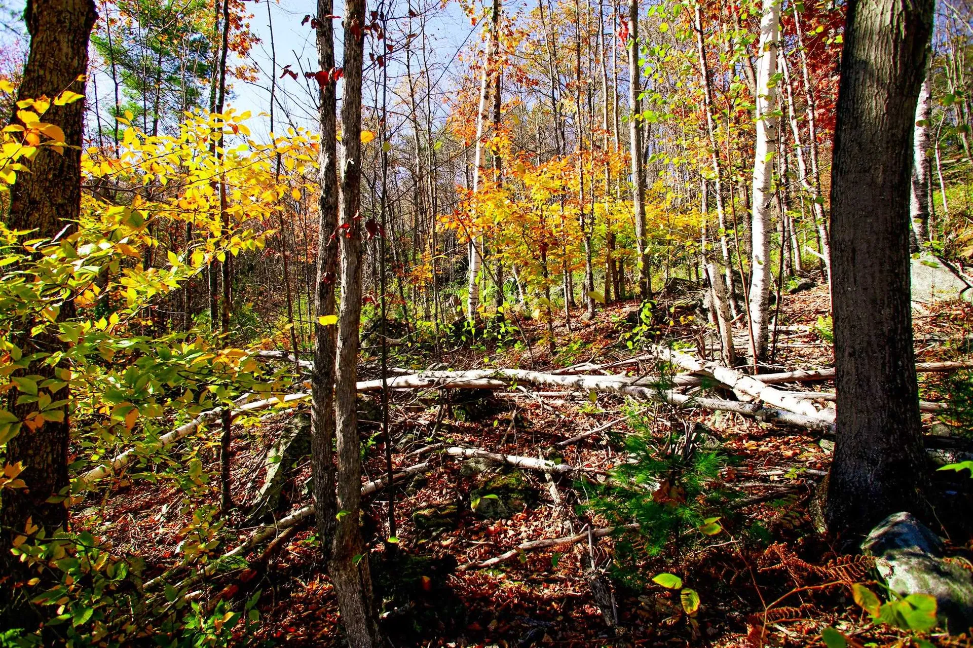 261 Porter Road Plainfield NH 03781