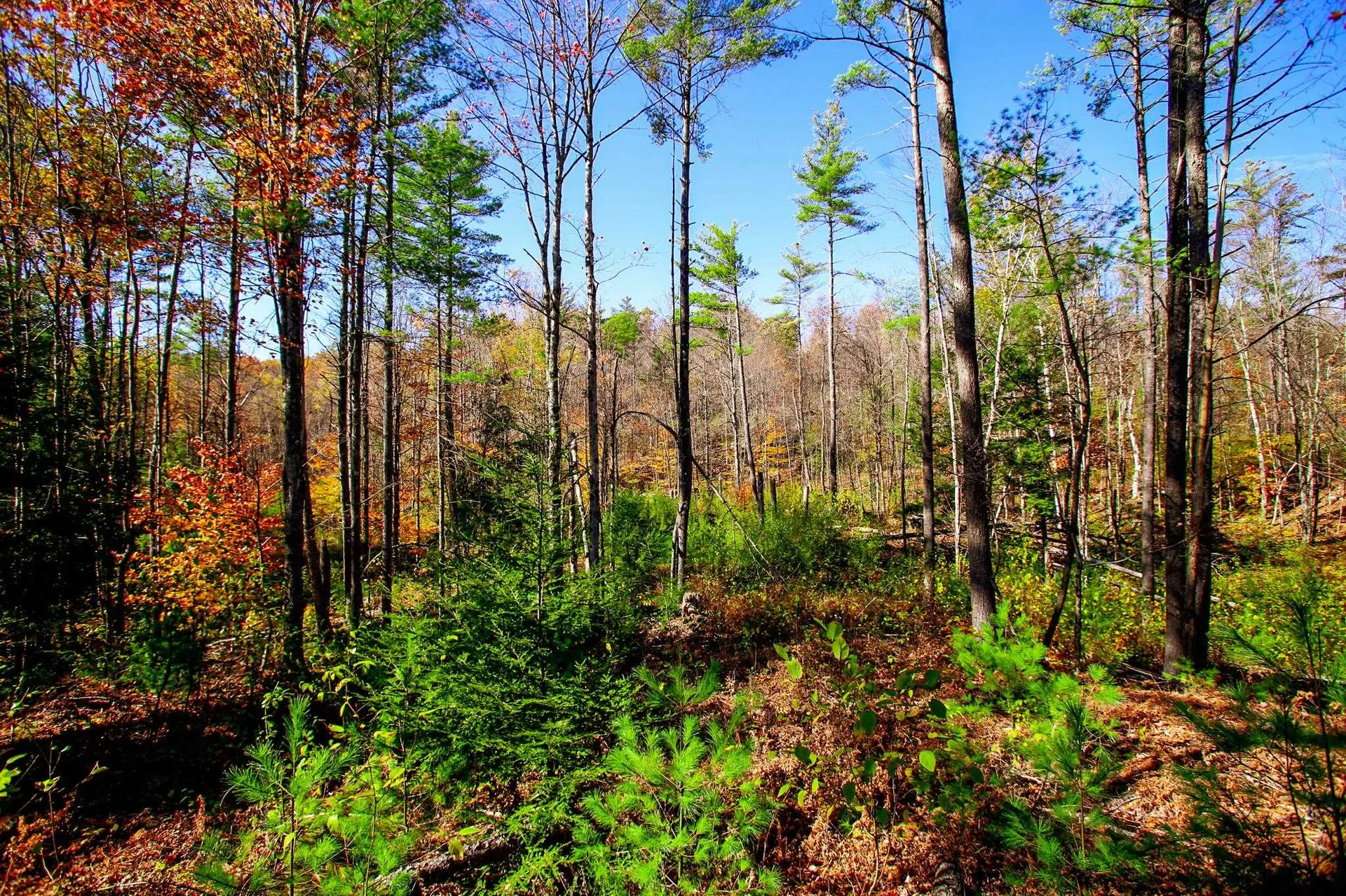 261 Porter Road Plainfield NH 03781