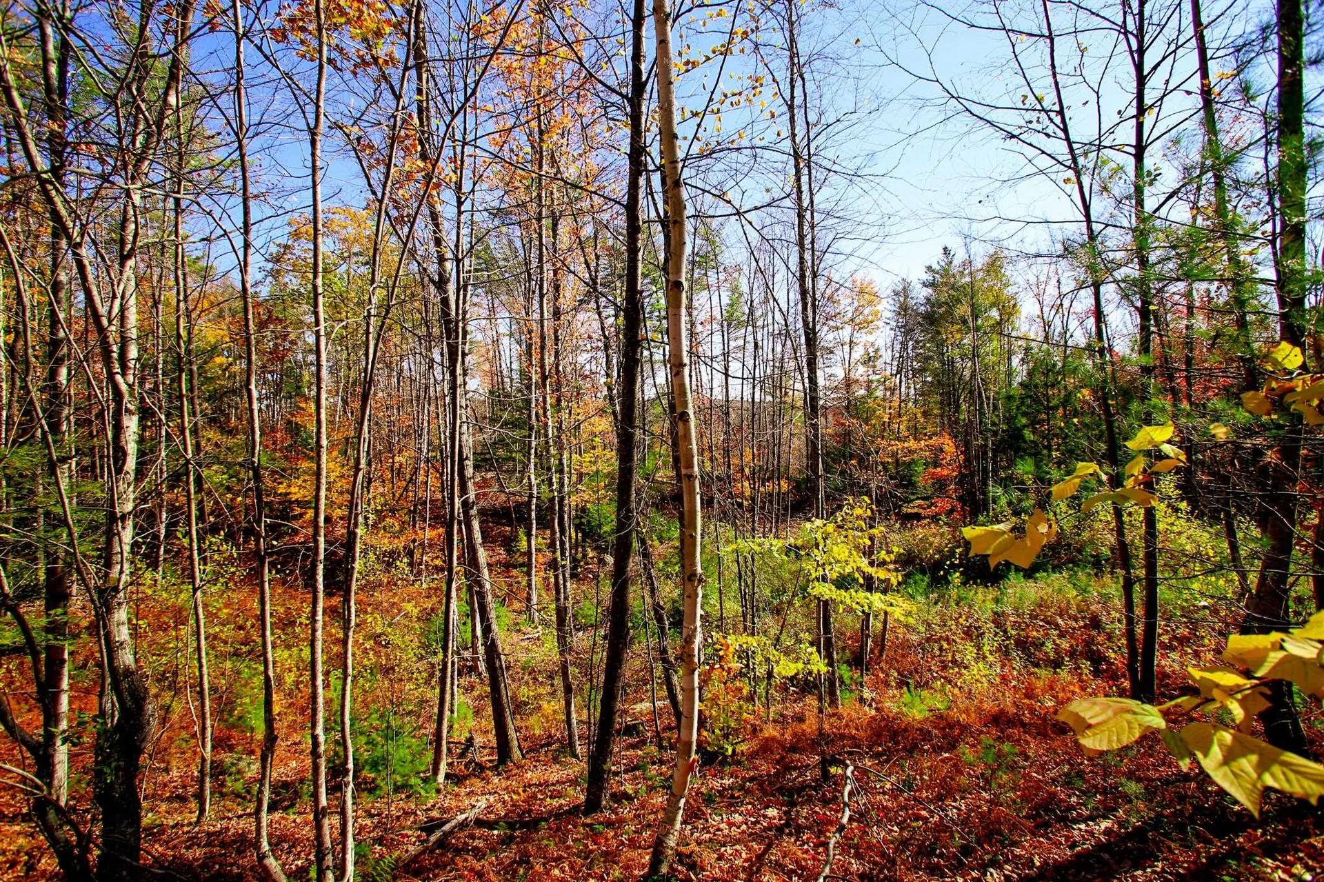 261 Porter Road Plainfield NH 03781
