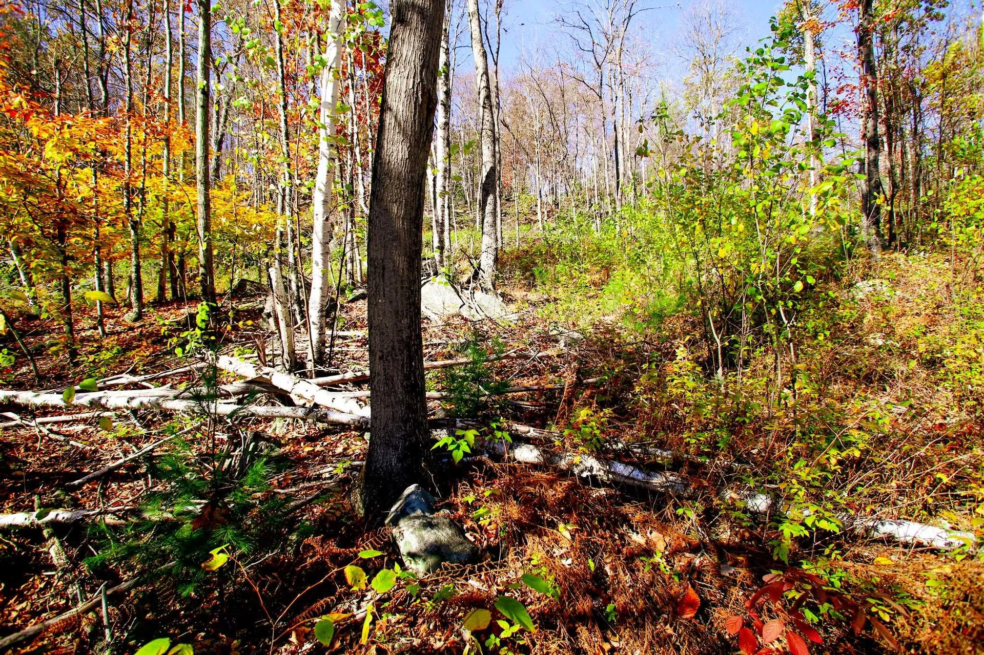 261 Porter Road Plainfield NH 03781