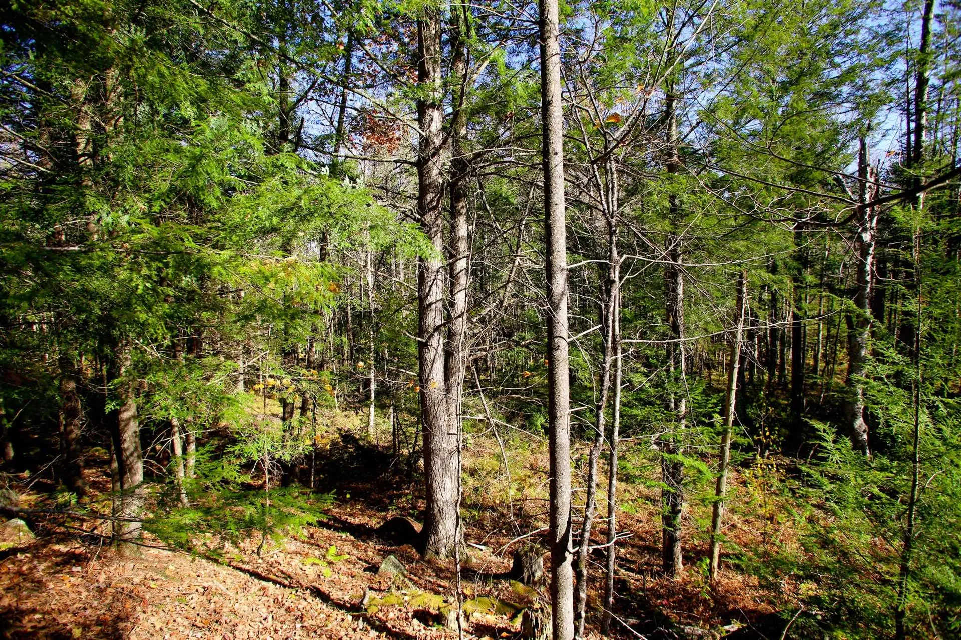 261 Porter Road Plainfield NH 03781
