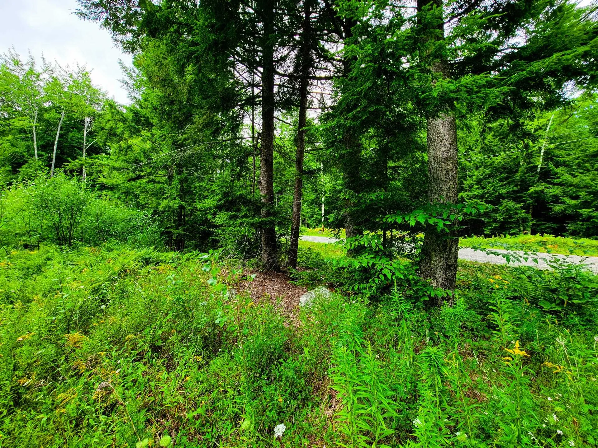 261 Porter Road Plainfield NH 03781