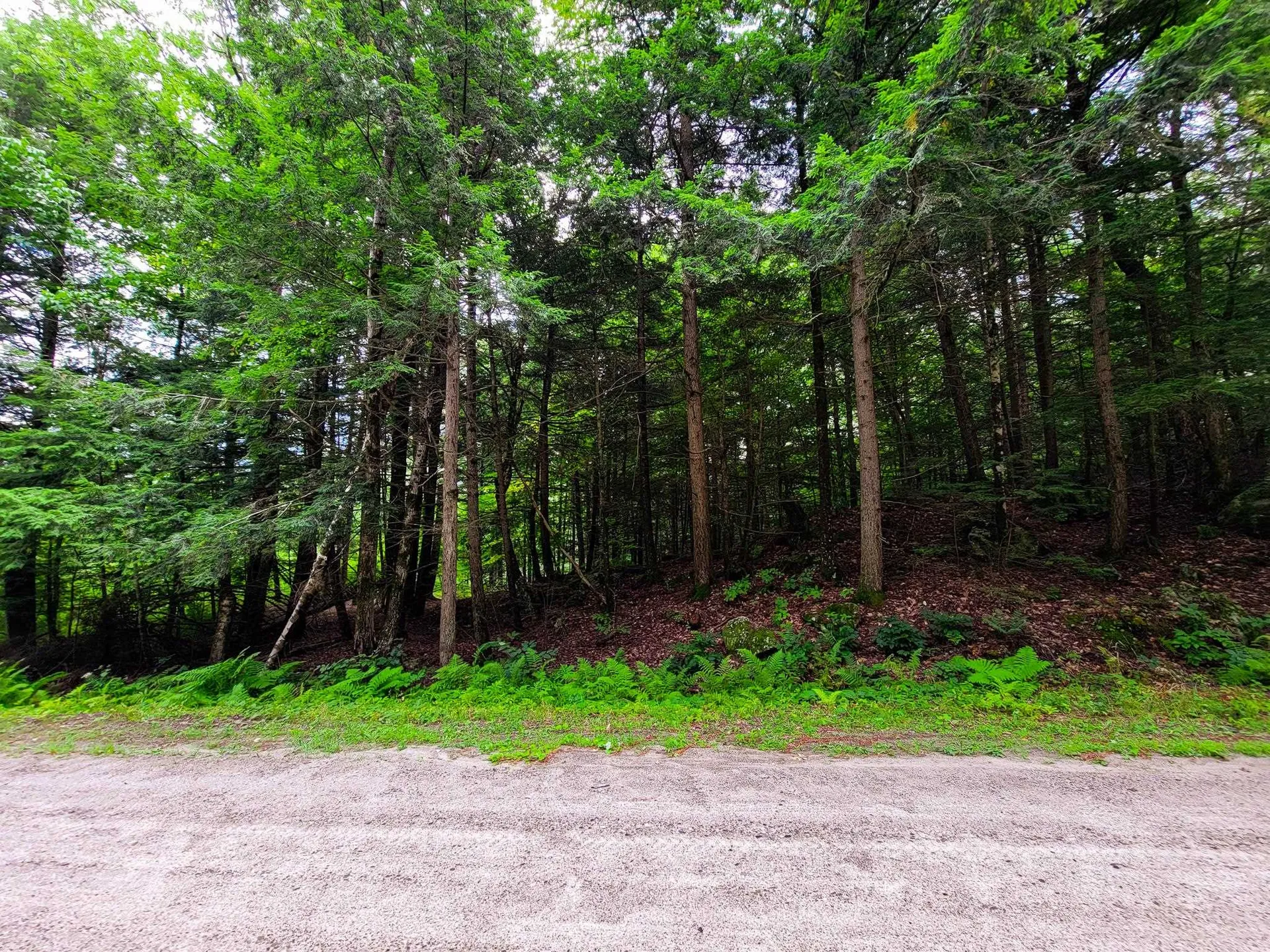 261 Porter Road Plainfield NH 03781