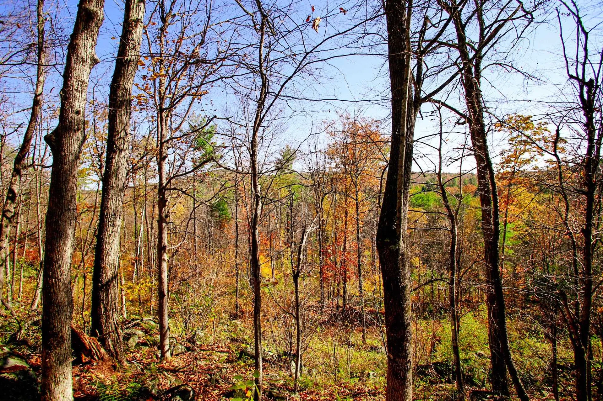 261 Porter Road Plainfield NH 03781