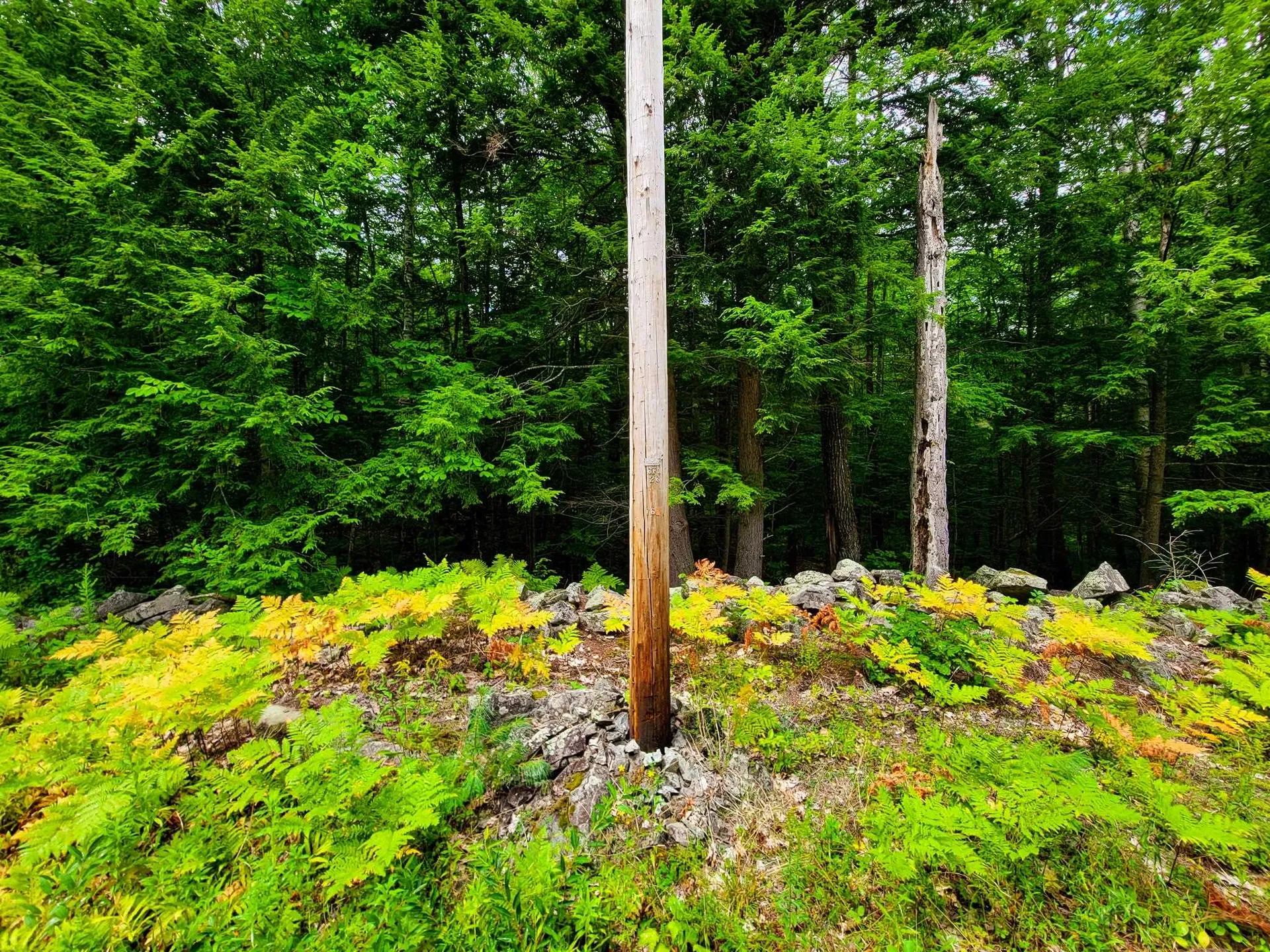 261 Porter Road Plainfield NH 03781
