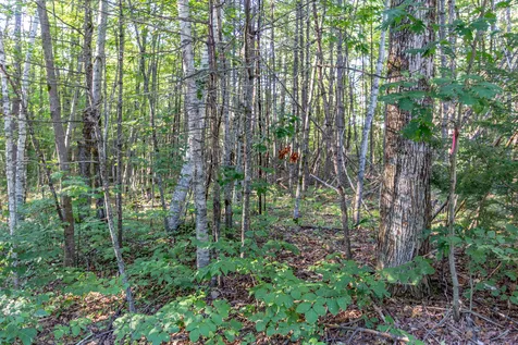 1681 Depot Road Tamworth NH 03886