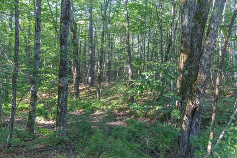 1681 Depot Road Tamworth NH 03886