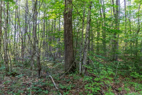 1681 Depot Road Tamworth NH 03886