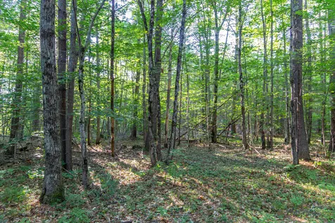 1681 Depot Road Tamworth NH 03886