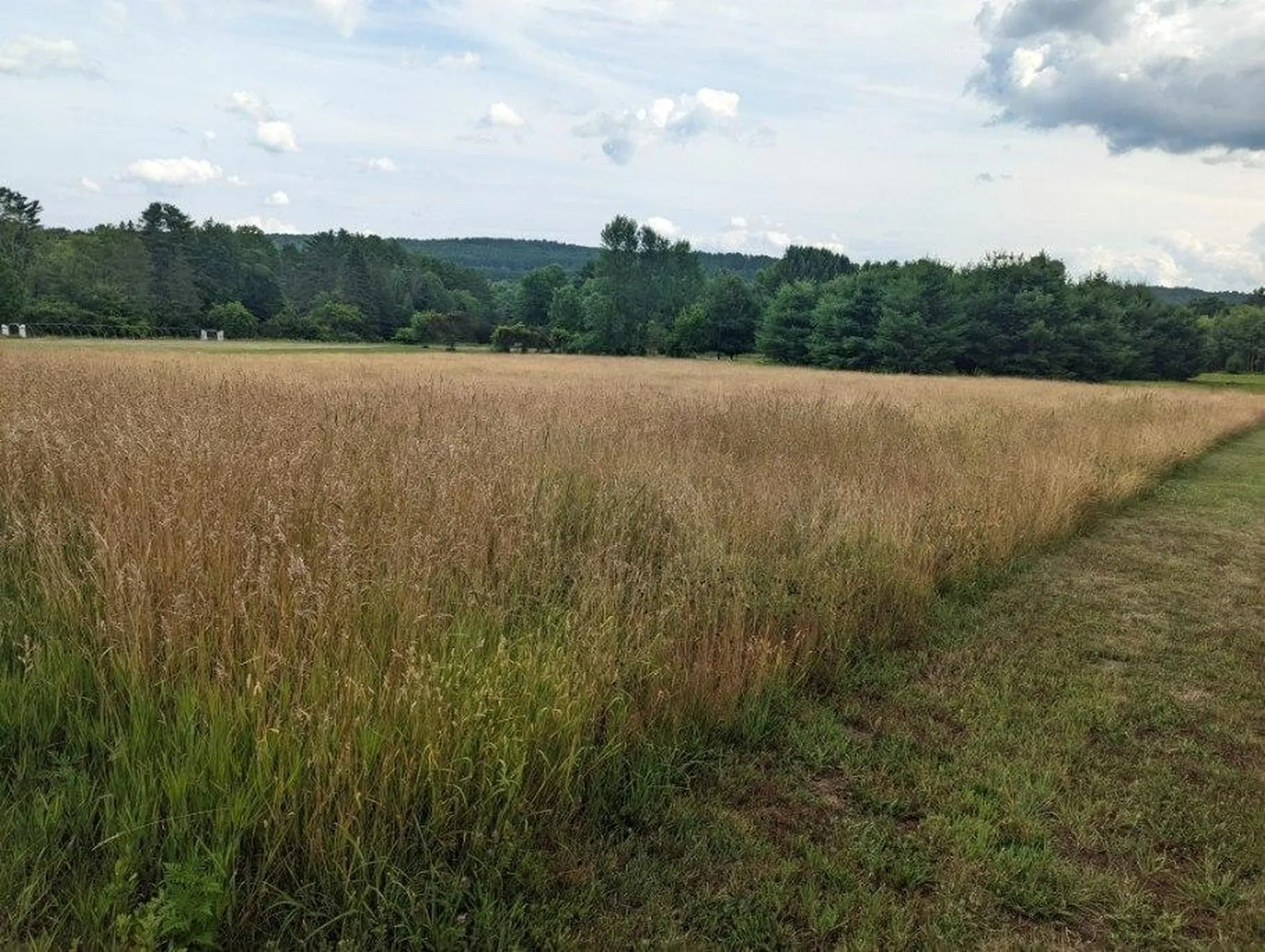 0 Westgate Road Plainfield NH 03781