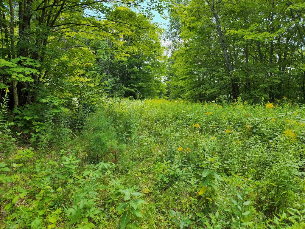 454 Durgin Hill Road Vershire VT 05079
