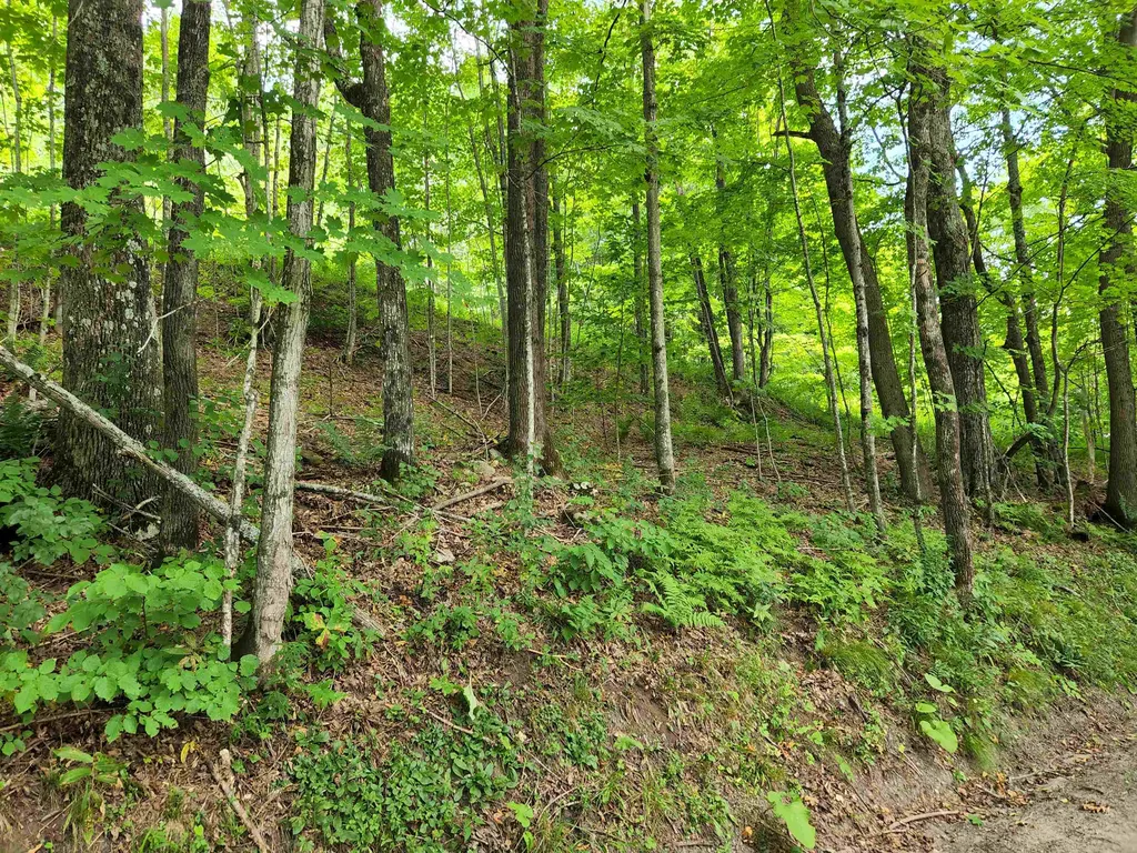 454 Durgin Hill Road Vershire VT 05079