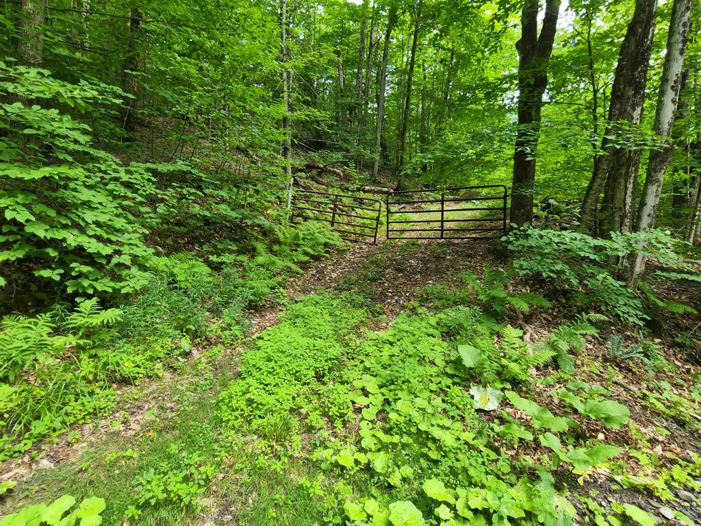 454 Durgin Hill Road Vershire VT 05079