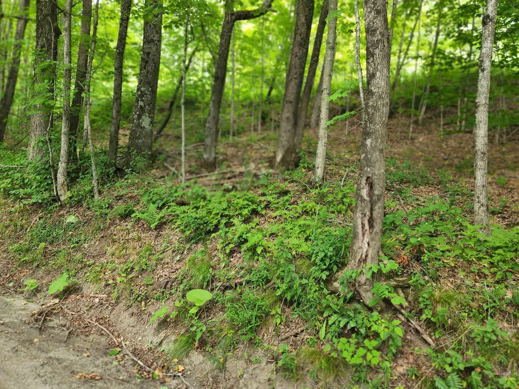 454 Durgin Hill Road Vershire VT 05079