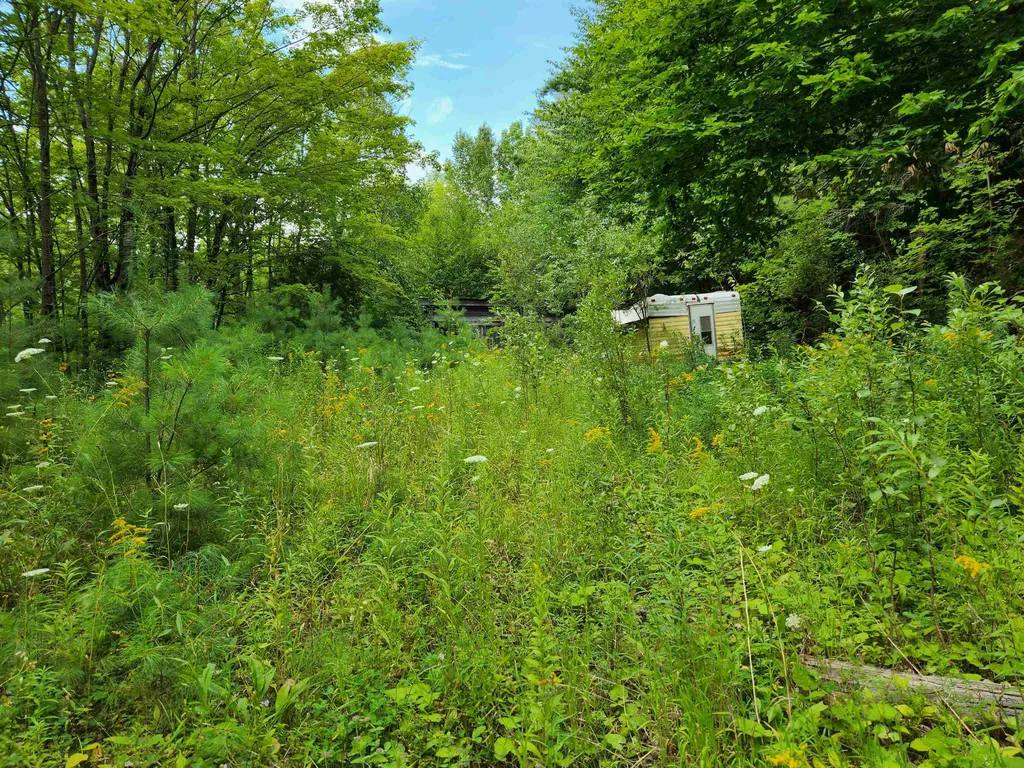 454 Durgin Hill Road Vershire VT 05079
