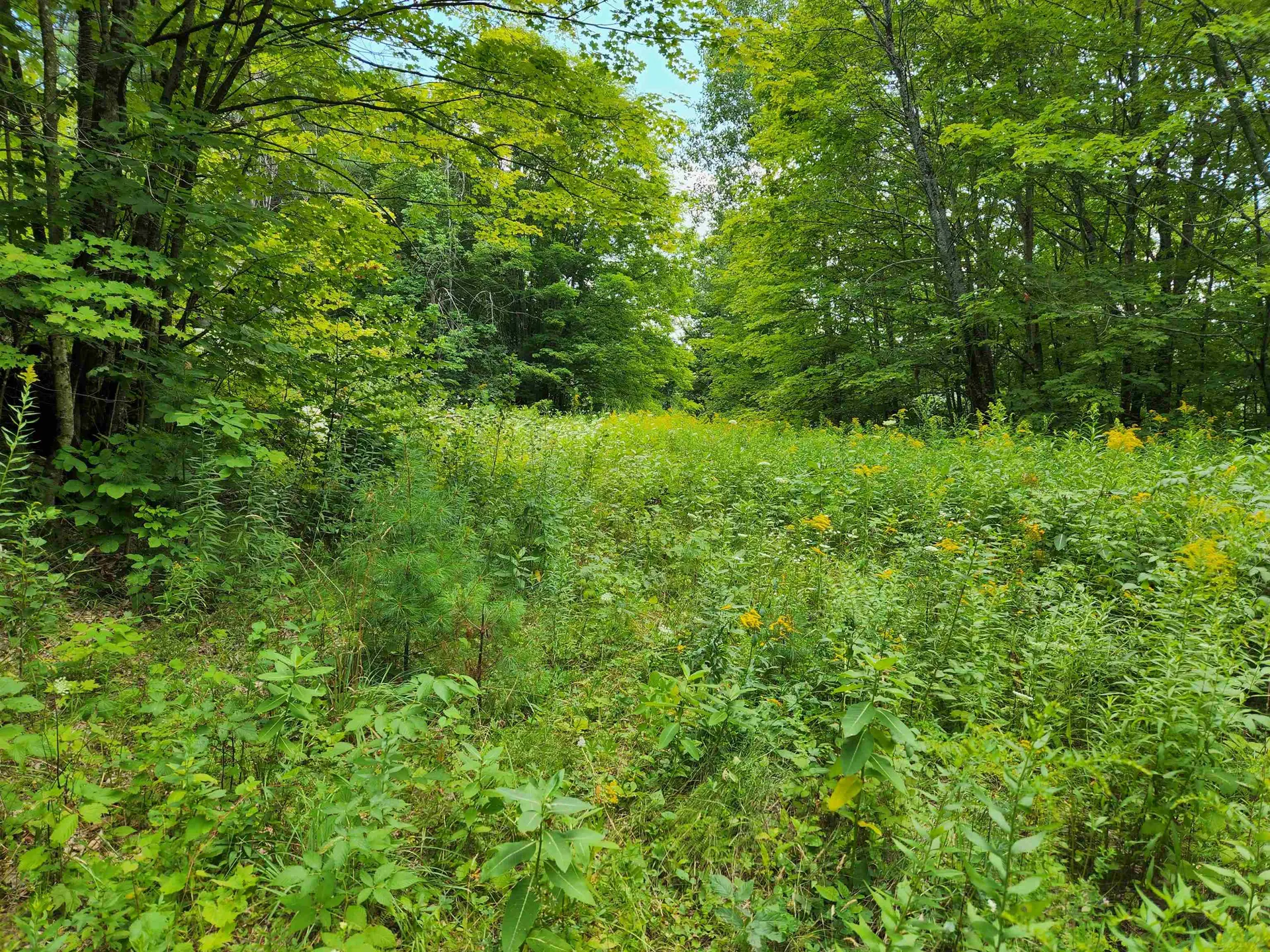 454 Durgin Hill Road Vershire VT 05079