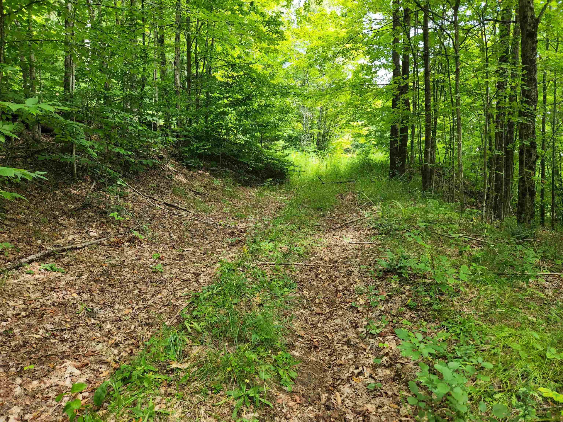 454 Durgin Hill Road Vershire VT 05079