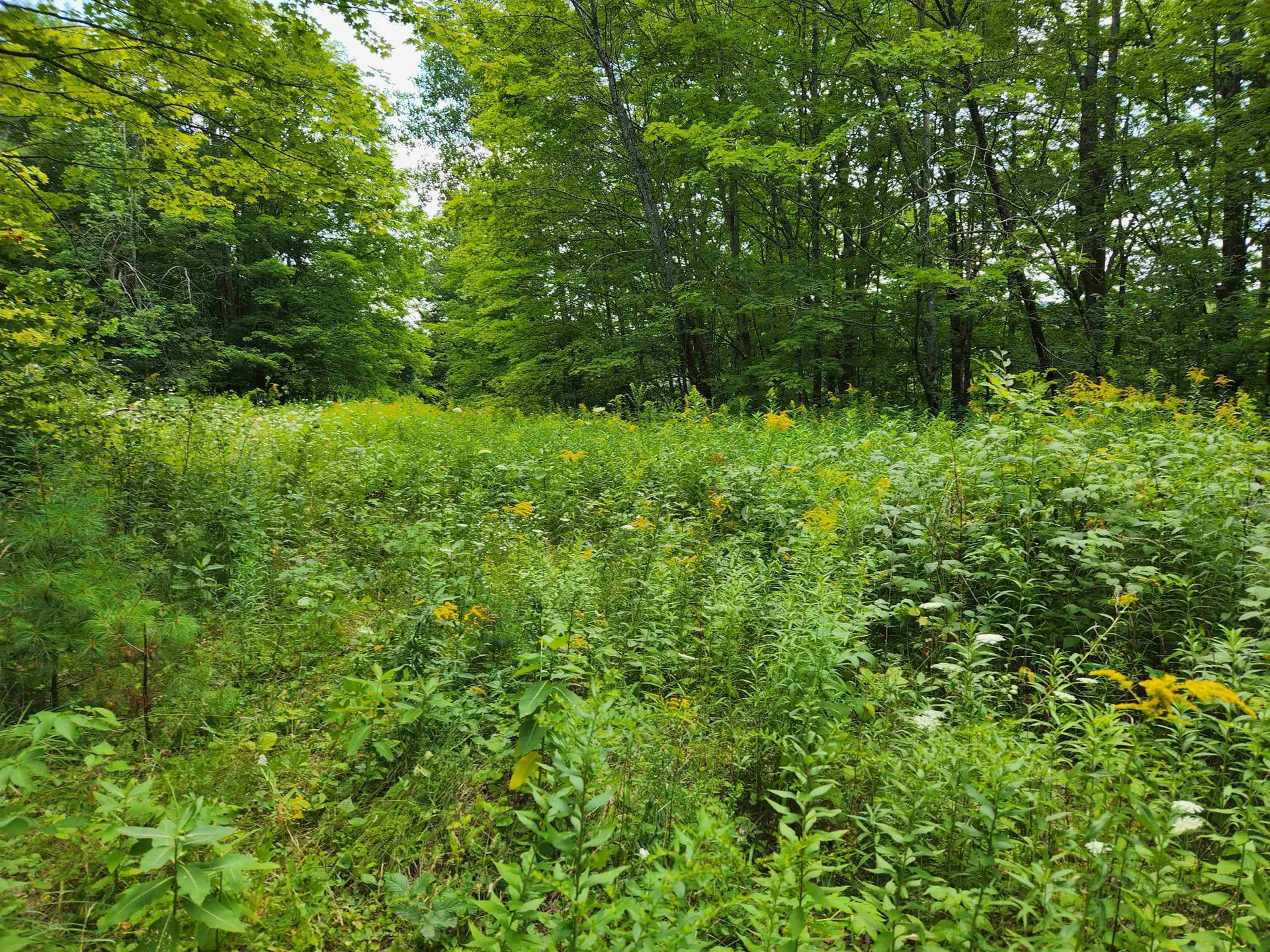 454 Durgin Hill Road Vershire VT 05079