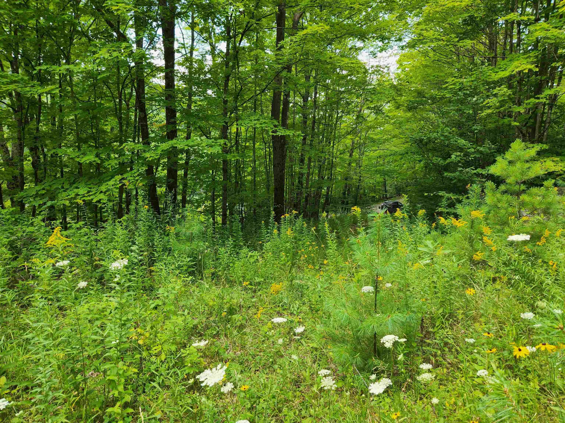 454 Durgin Hill Road Vershire VT 05079