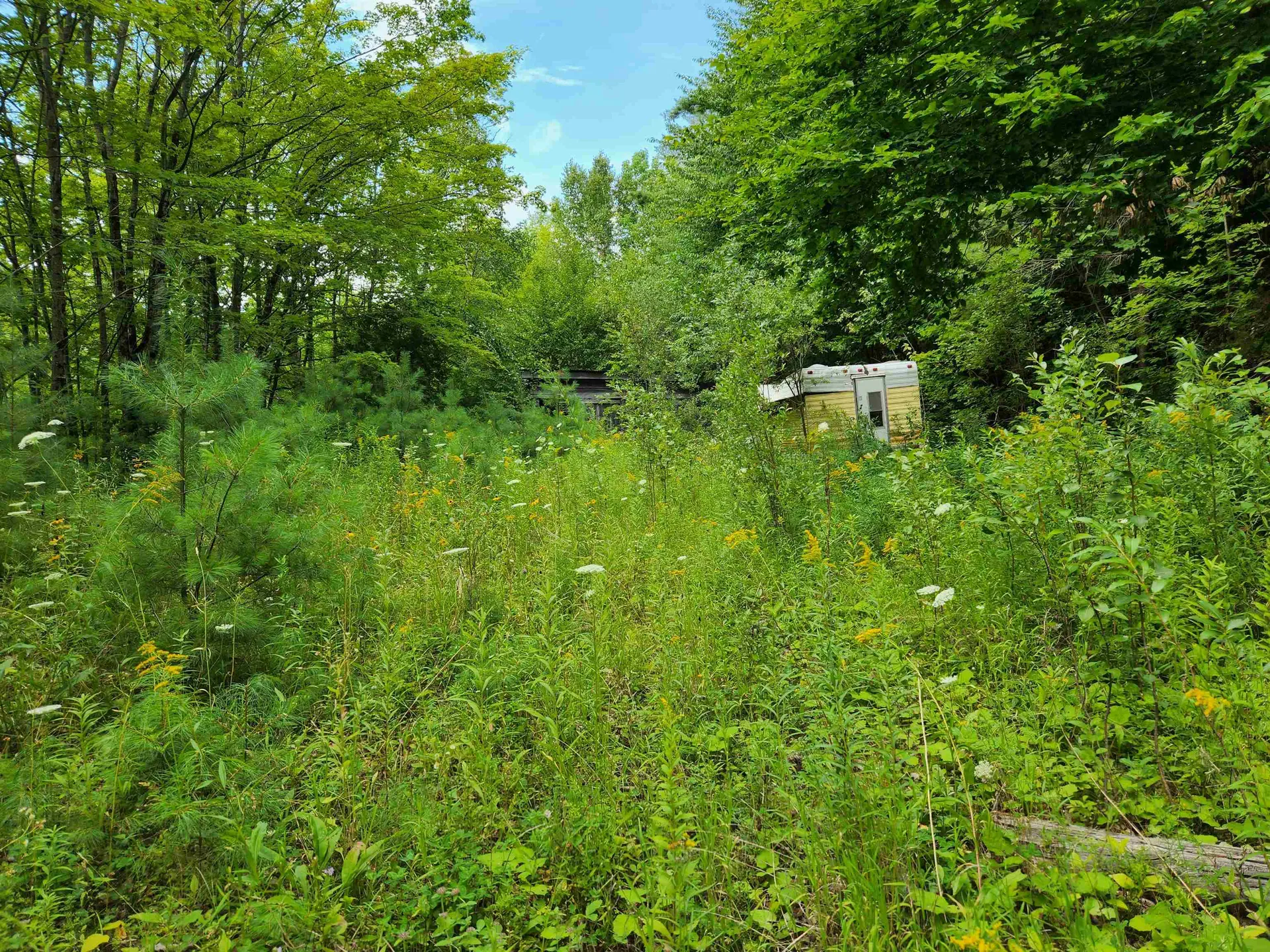 454 Durgin Hill Road Vershire VT 05079