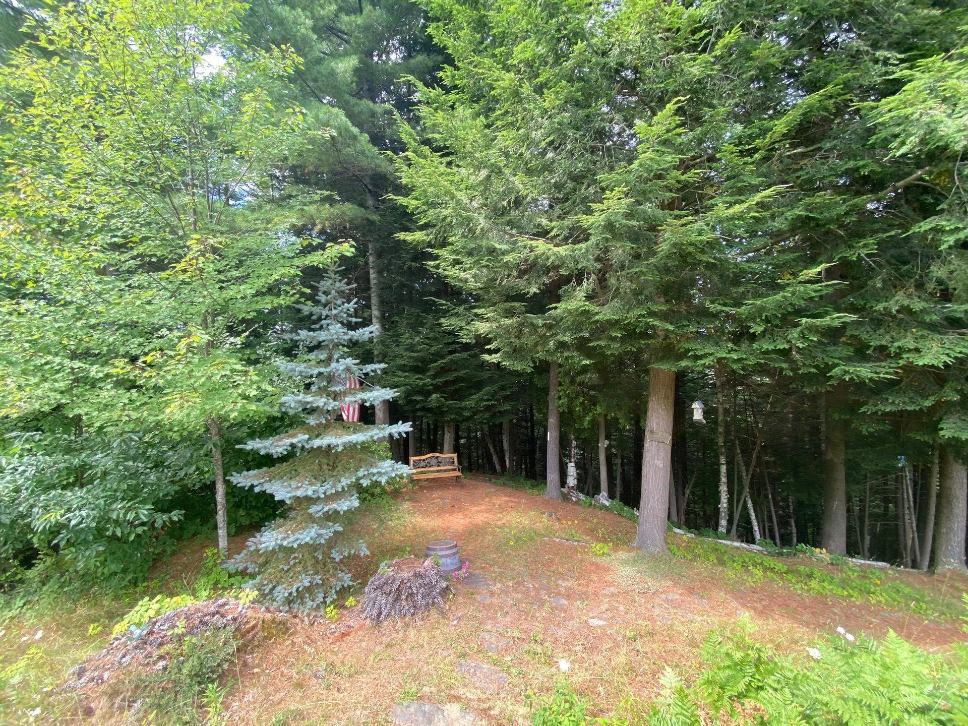 36 Wildersburg Common Barre Town VT 05641